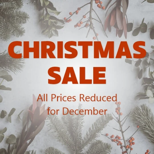 November Sale